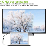 IADAP DP-HDMIFP4-ICIN_4